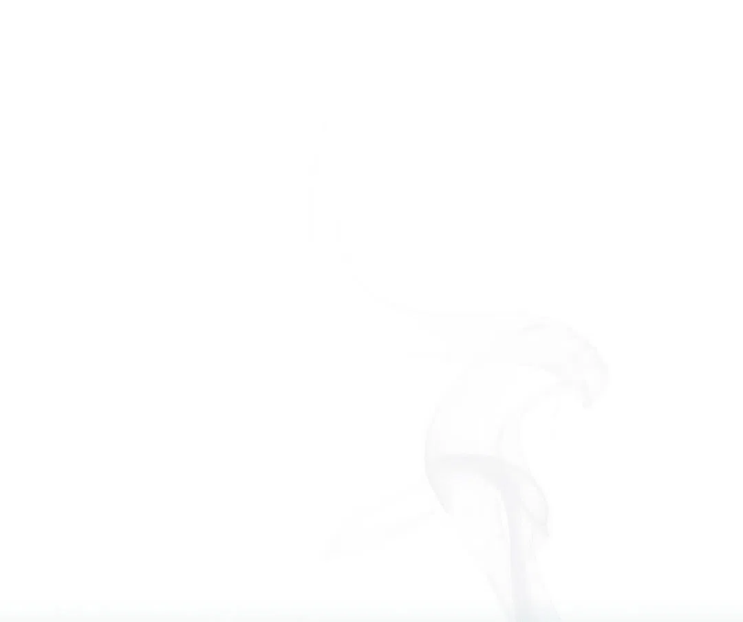 《绿色镌像》第45话 第53页