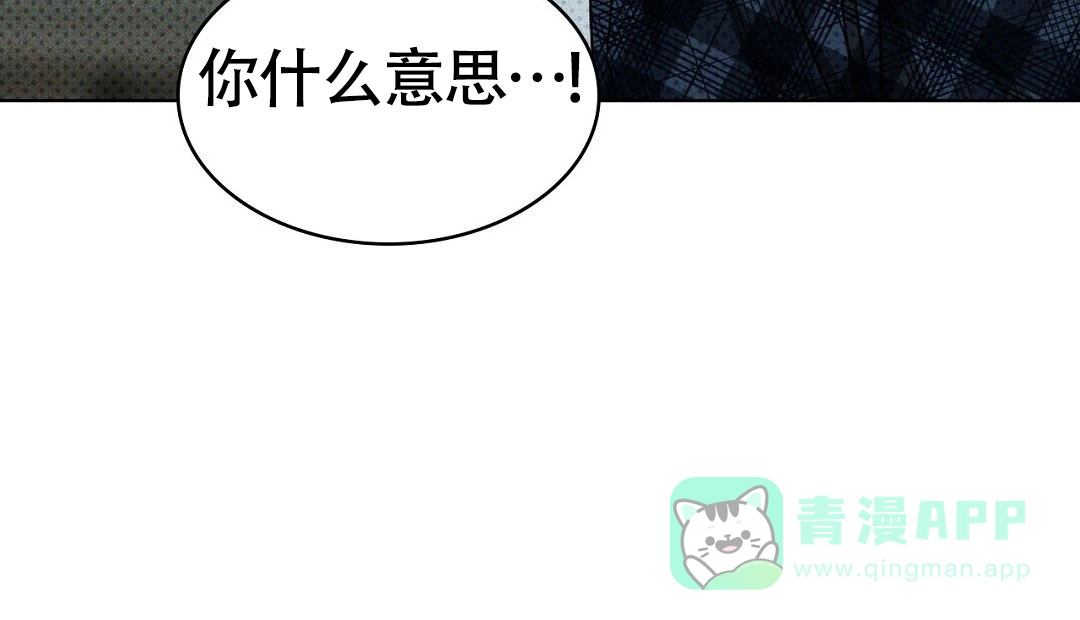 《绿色镌像》第46话 第41页