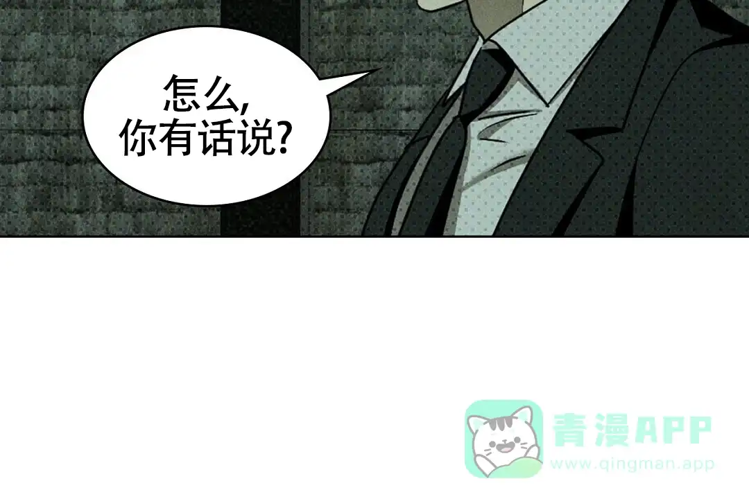 《绿色镌像》第52话 第71页