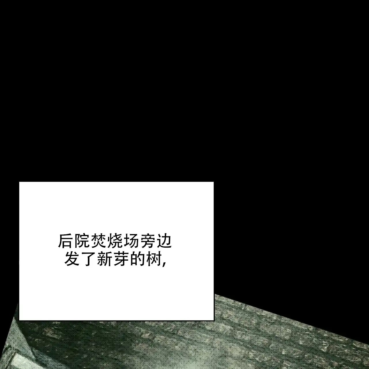 《绿色镌像》第73话 第37页