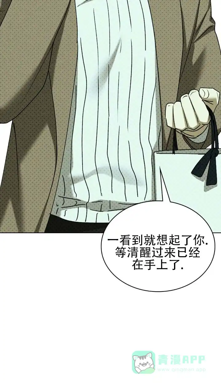 《绿色镌像》第89话 第11页