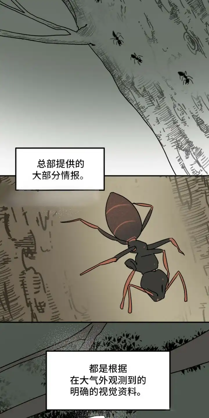 《绿色世界》第19话 第9页