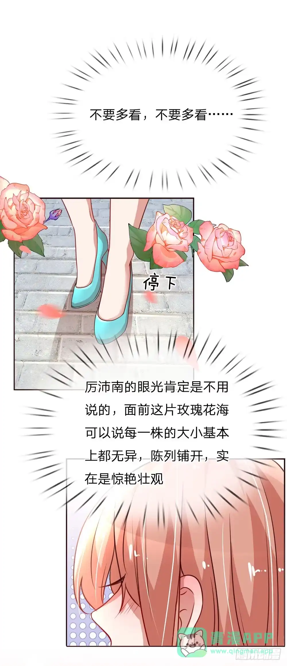 《妈咪快跑：爹地追来了》第92话 就留一朵吧 第16页