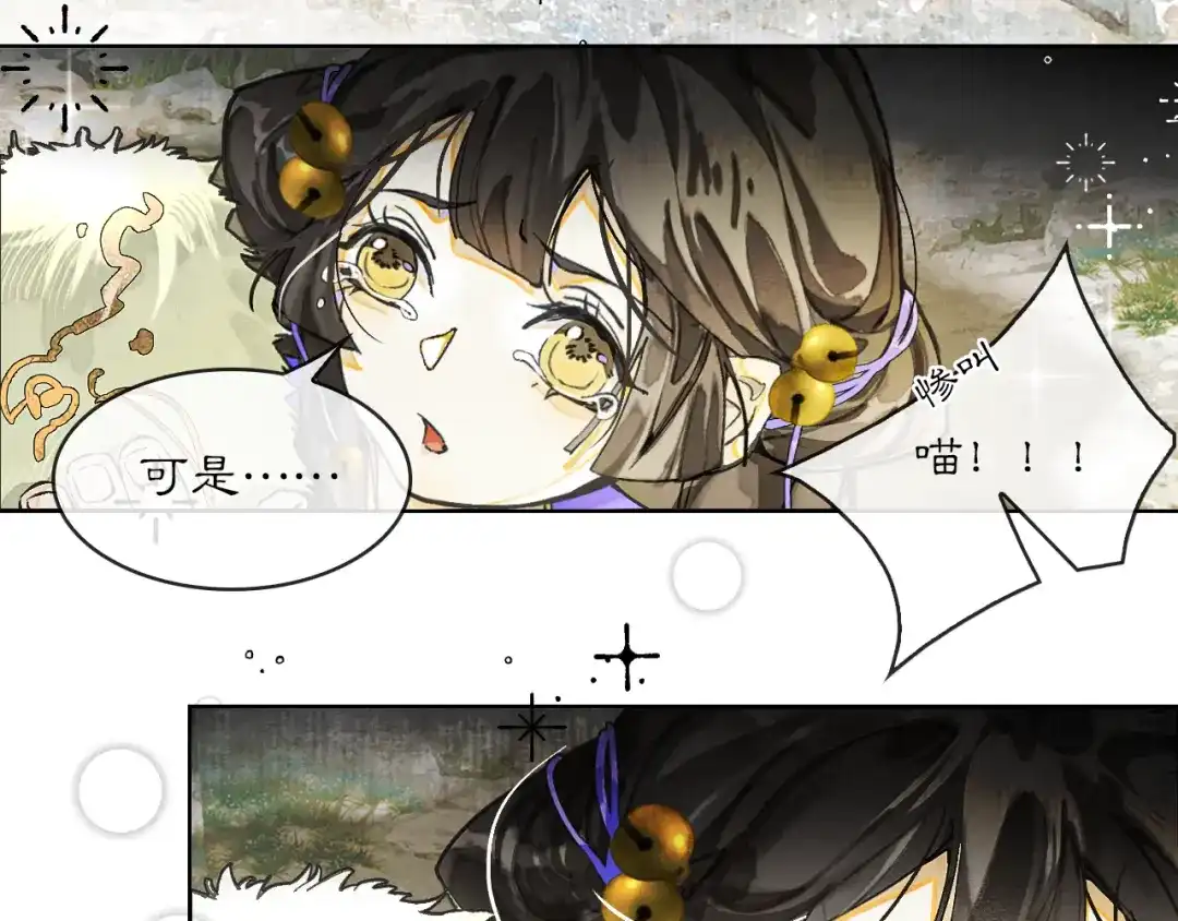 满船清梦压星河 十四话：它只是一只猫 第13页
