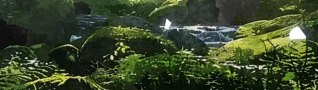 满船清梦压星河 十九话：很美 第106页