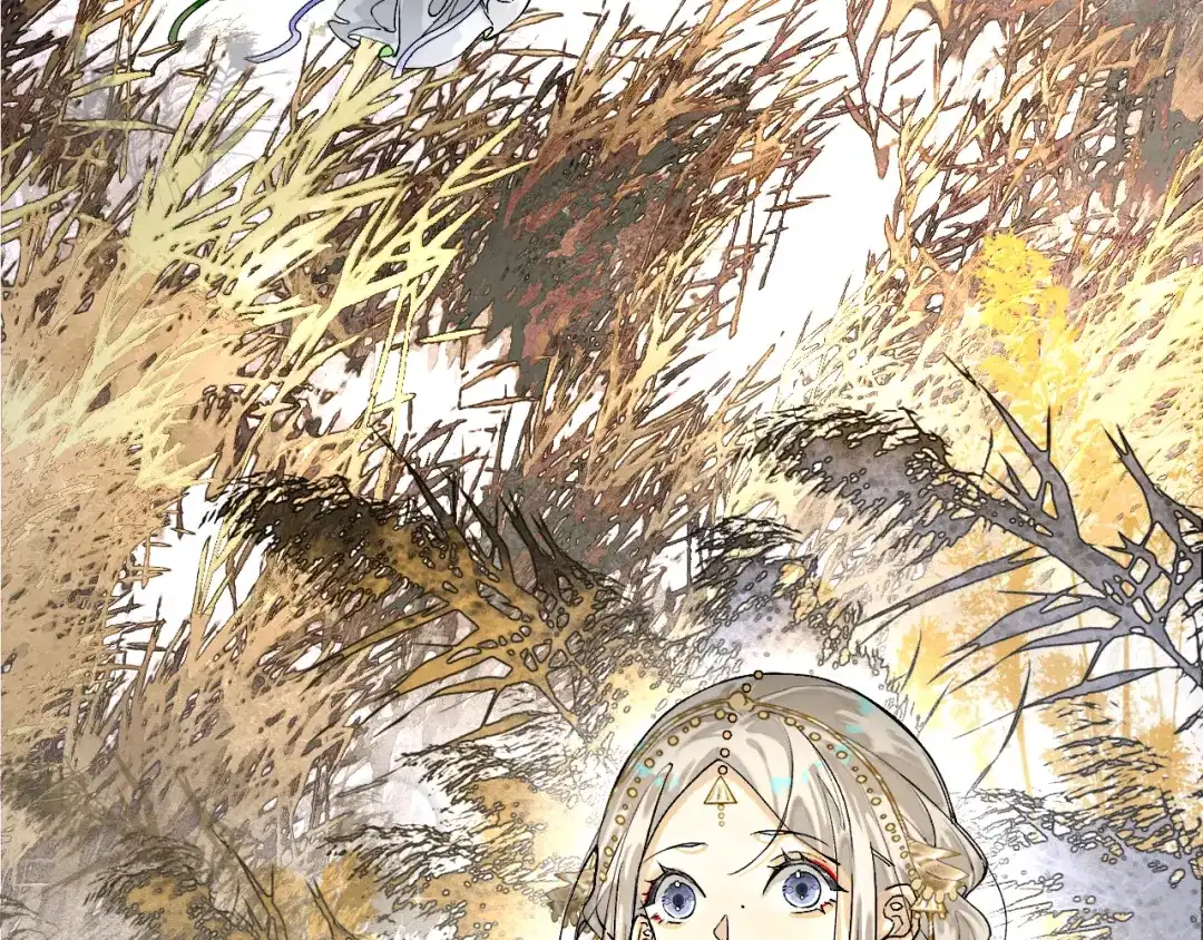 满船清梦压星河 十九话：很美 第67页