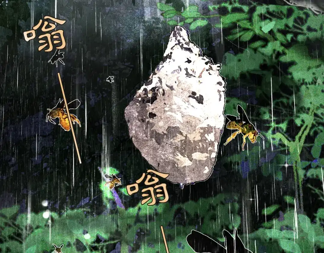 满船清梦压星河 二十话：兵分两路 第52页