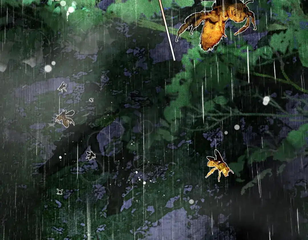 满船清梦压星河 二十话：兵分两路 第53页