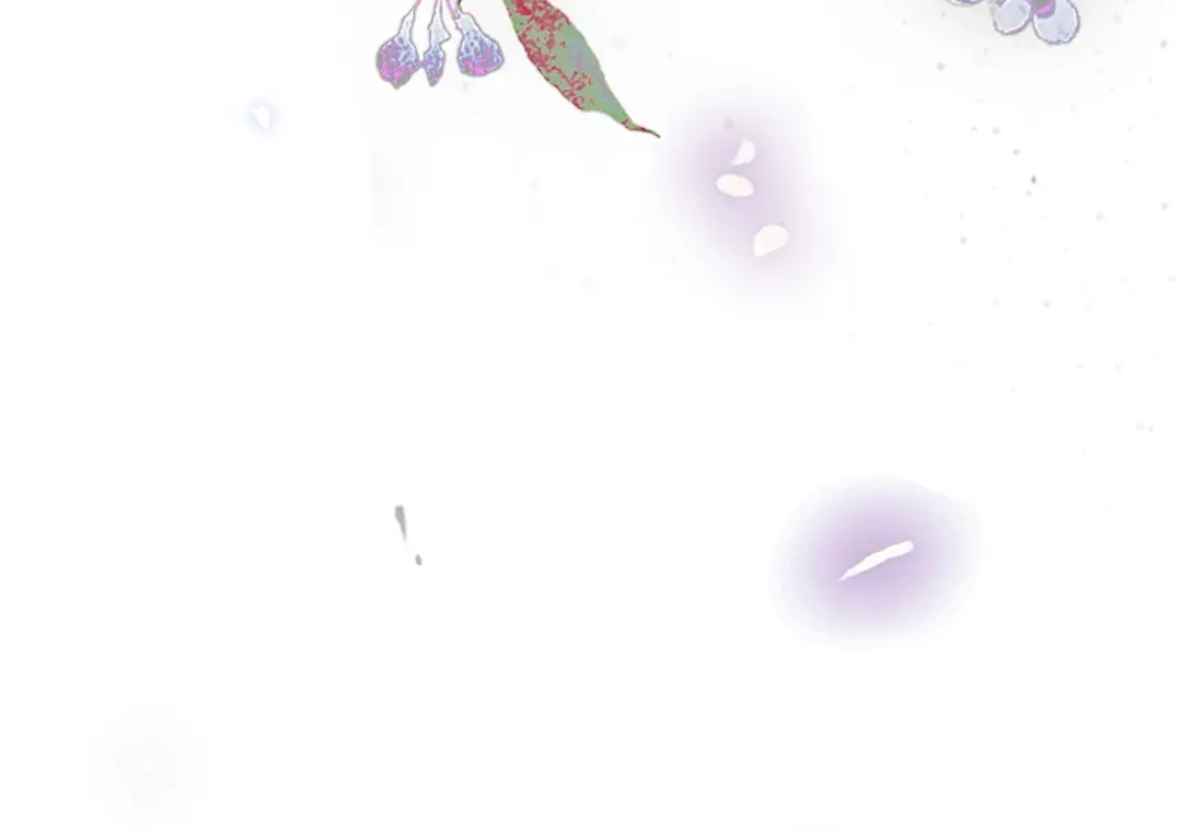 满船清梦压星河 二十五话：考验。 第114页