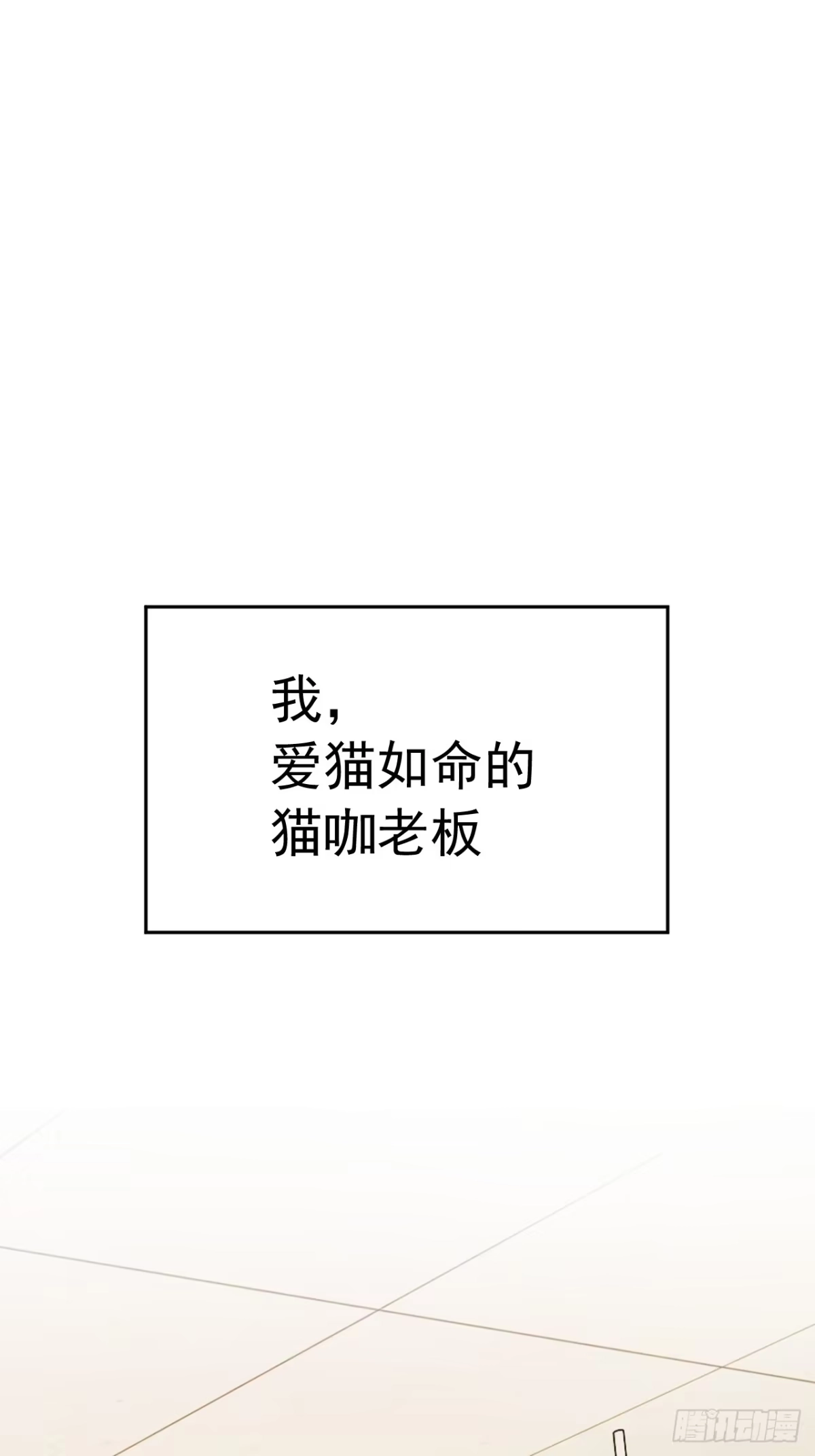 《猫来》预告 第1页