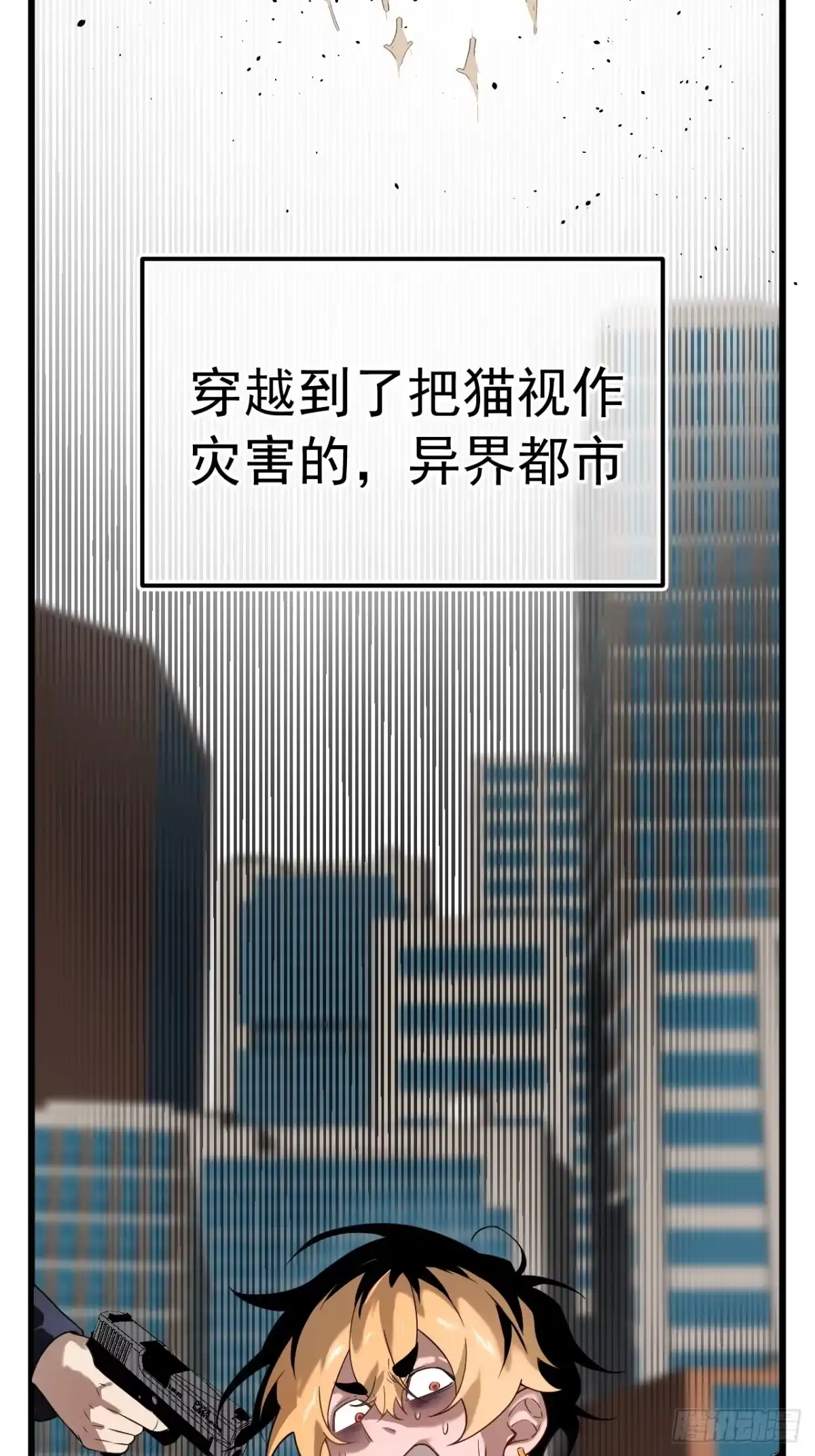 《猫来》预告 第5页