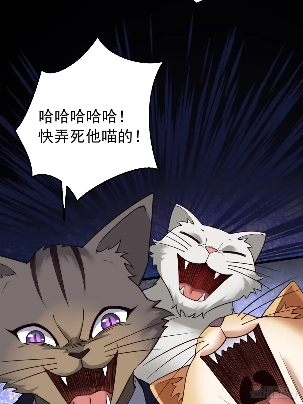 《猫来》预告 第16页
