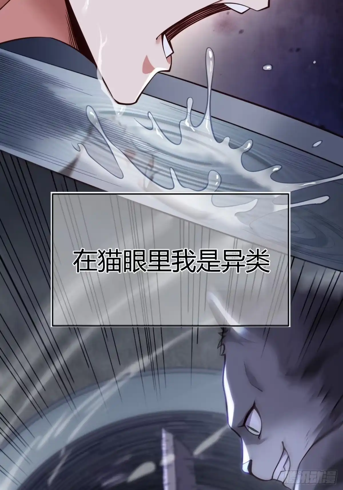 《猫来》预告 第10页