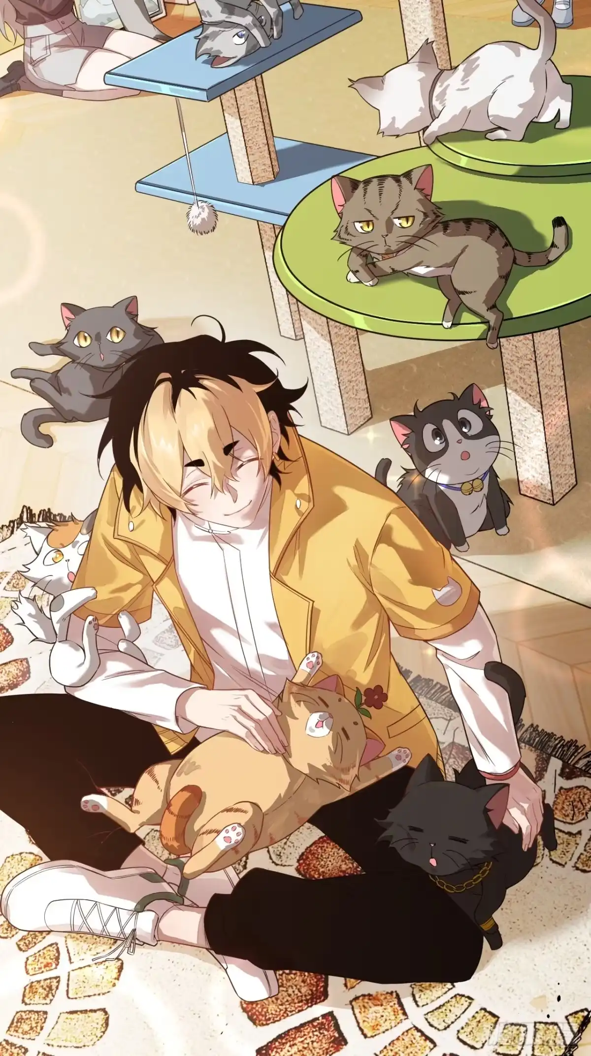 《猫来》预告 第3页
