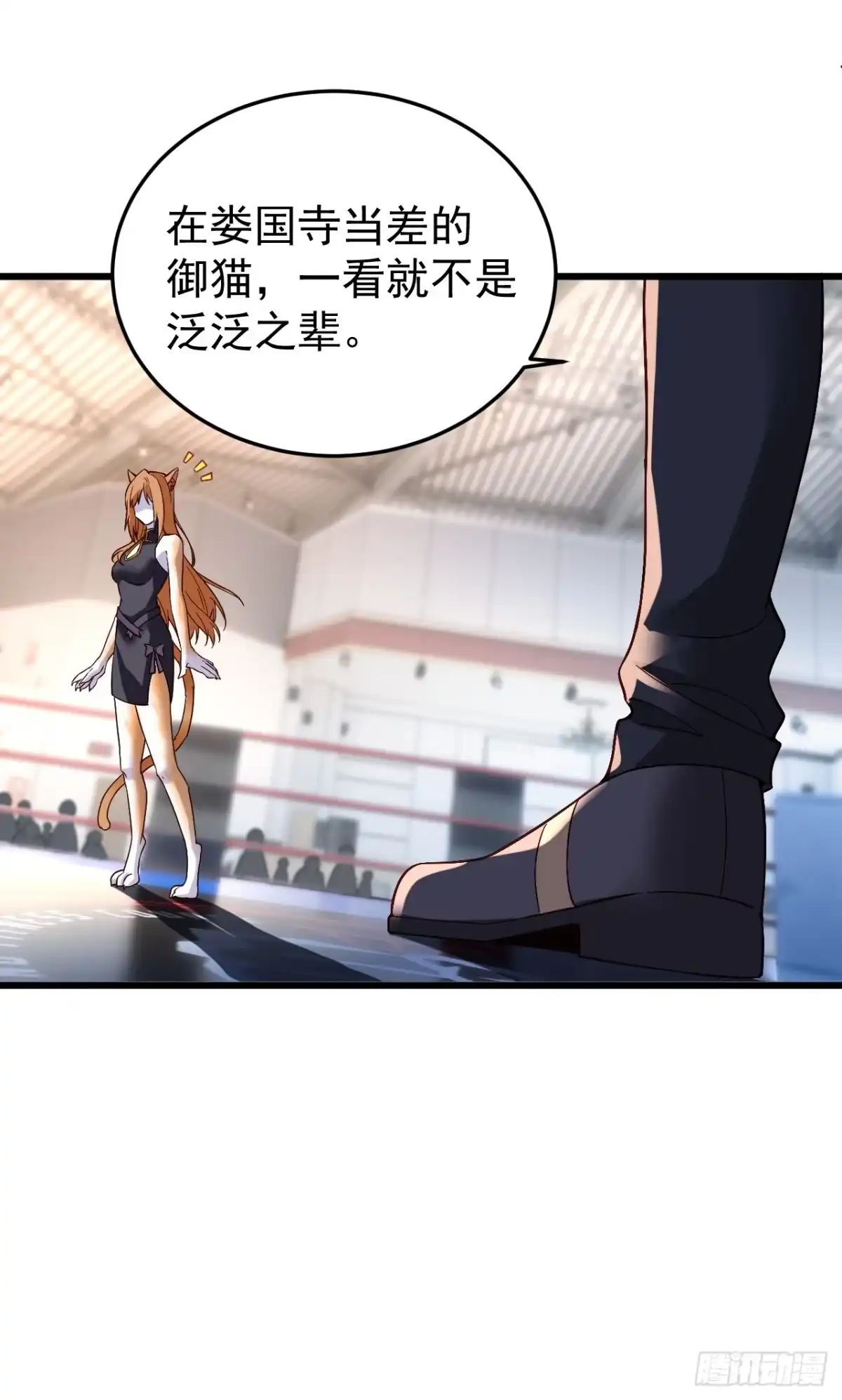 《猫来》012考核结束 第5页