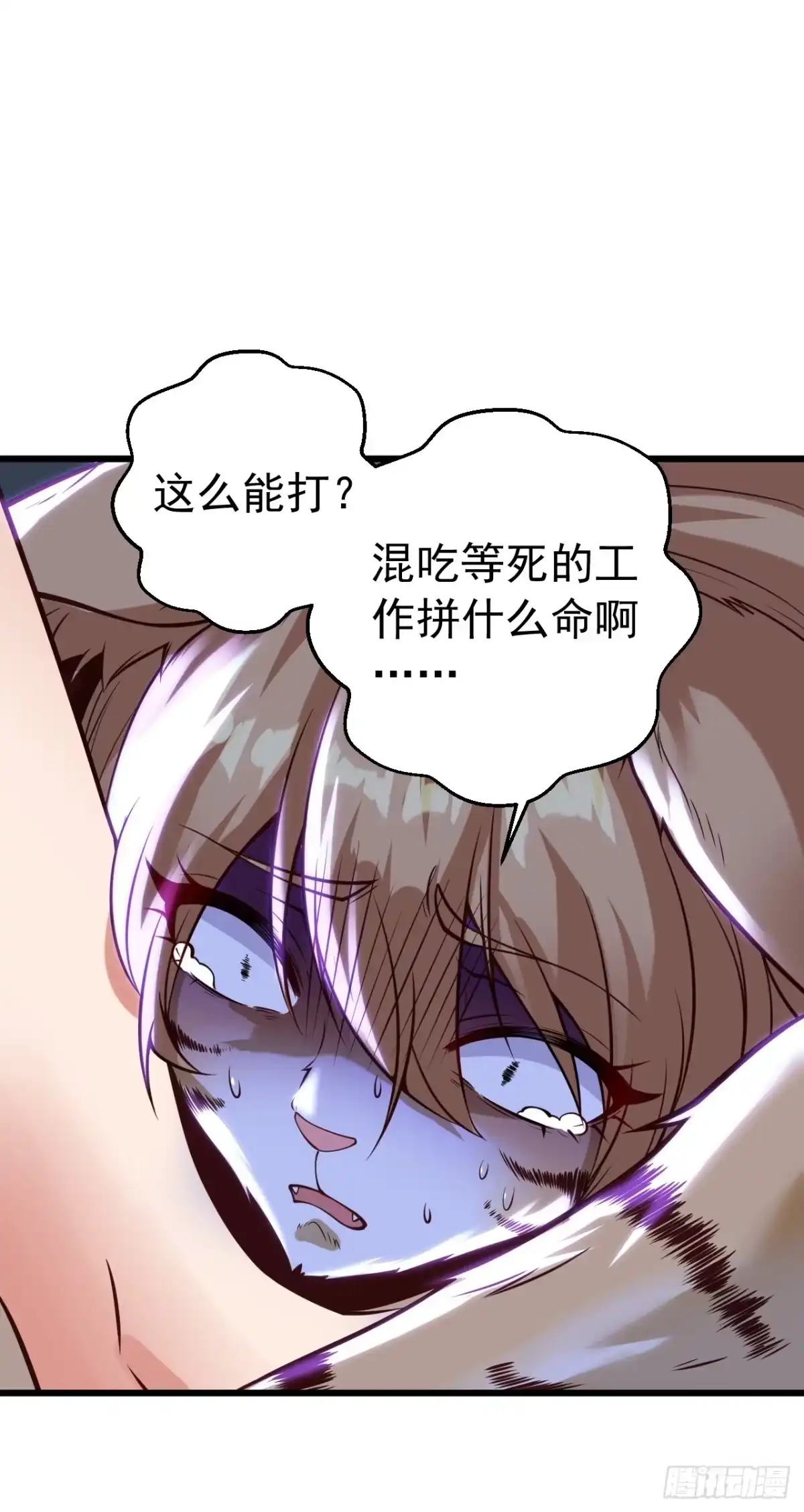 《猫来》012考核结束 第32页