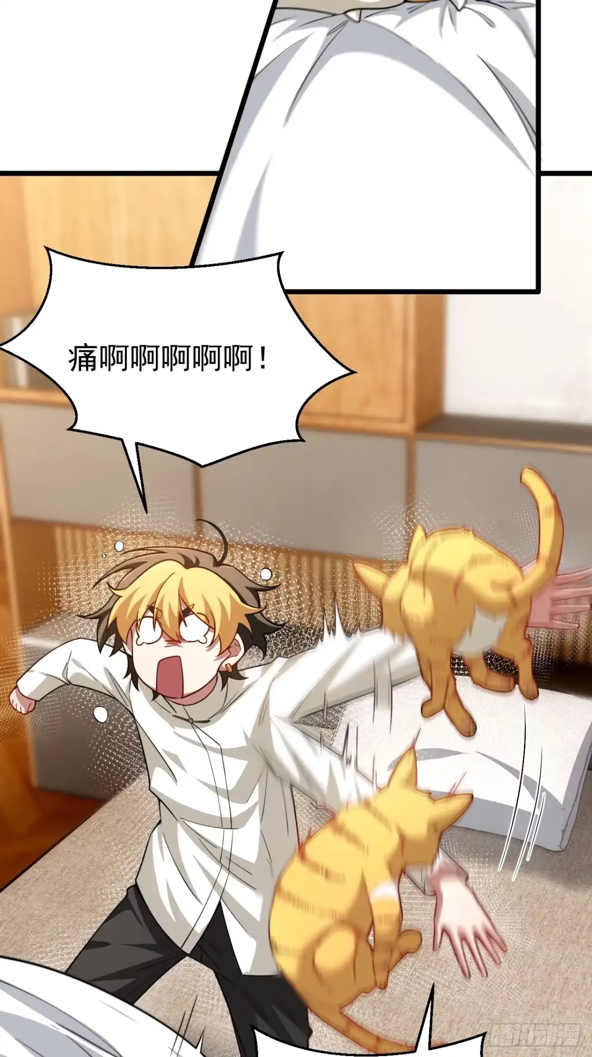《猫来》013猫神契 第23页
