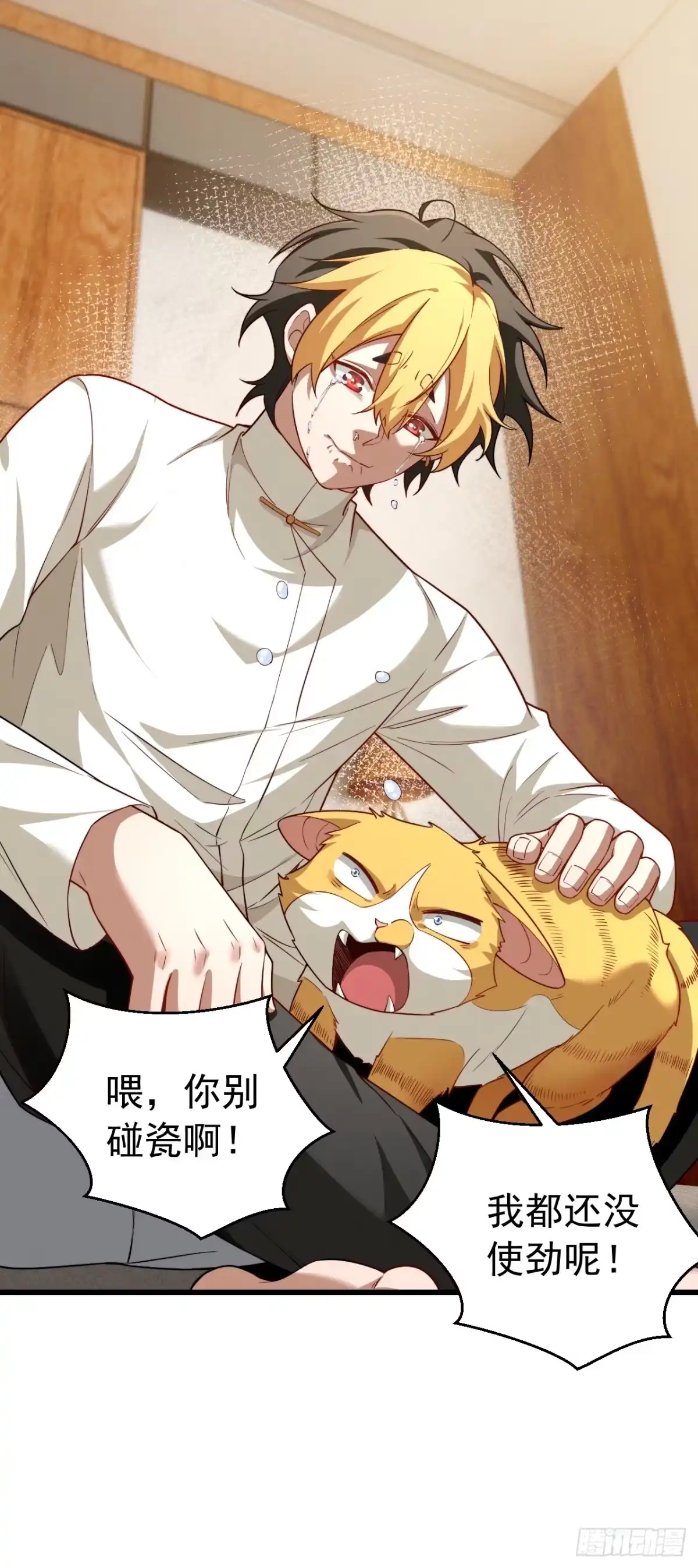 《猫来》013猫神契 第26页