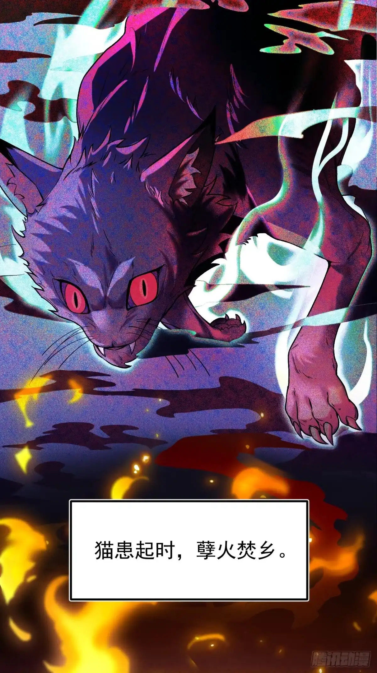 《猫来》001主播采子 第3页