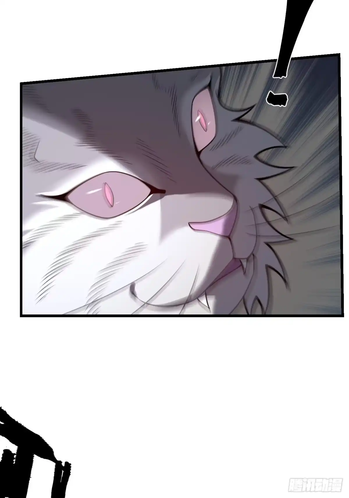 《猫来》002转瞬即逝 第48页
