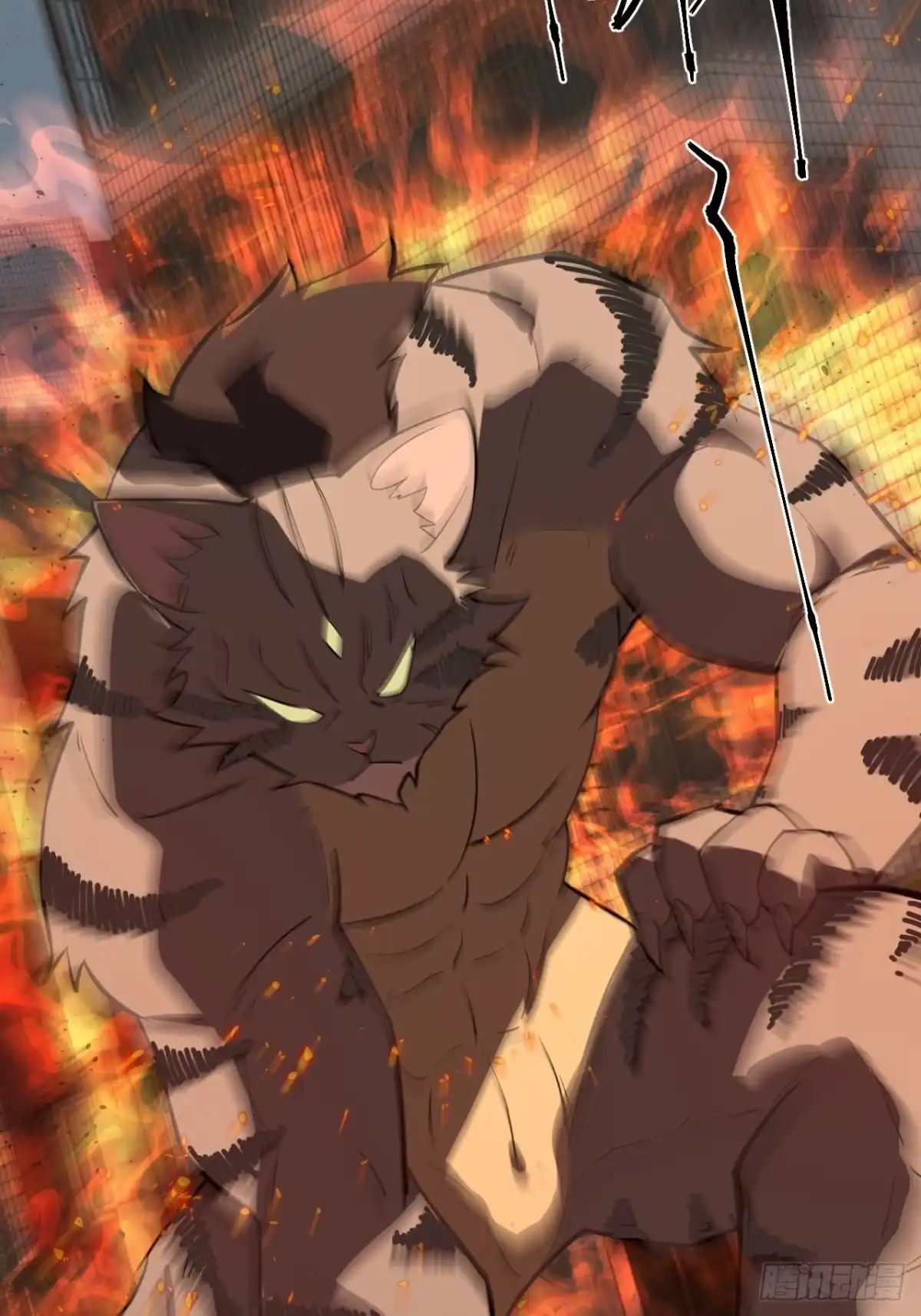 《猫来》006高危猫患 第52页