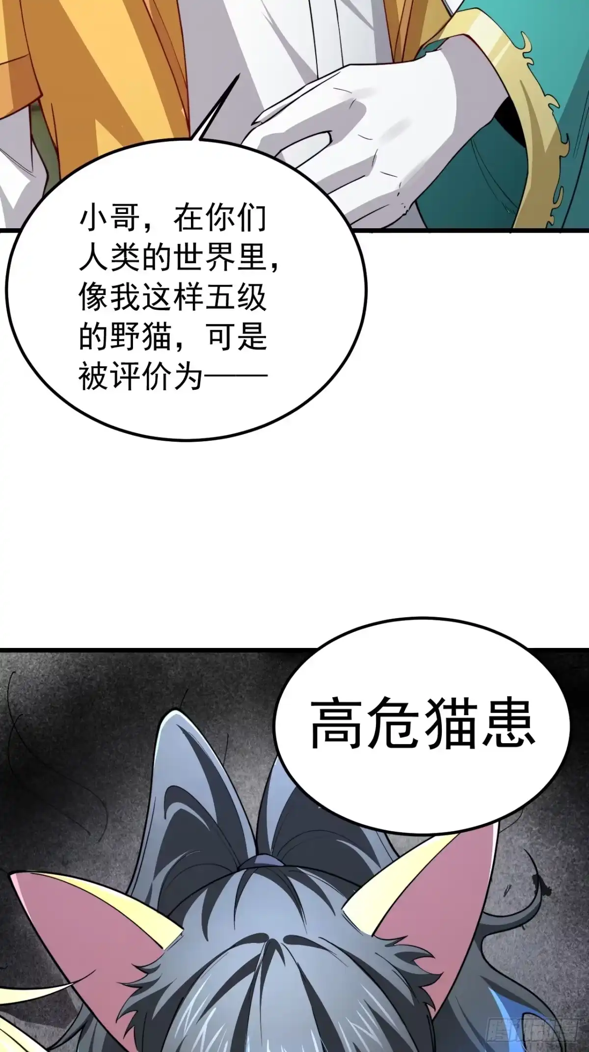 《猫来》006高危猫患 第27页