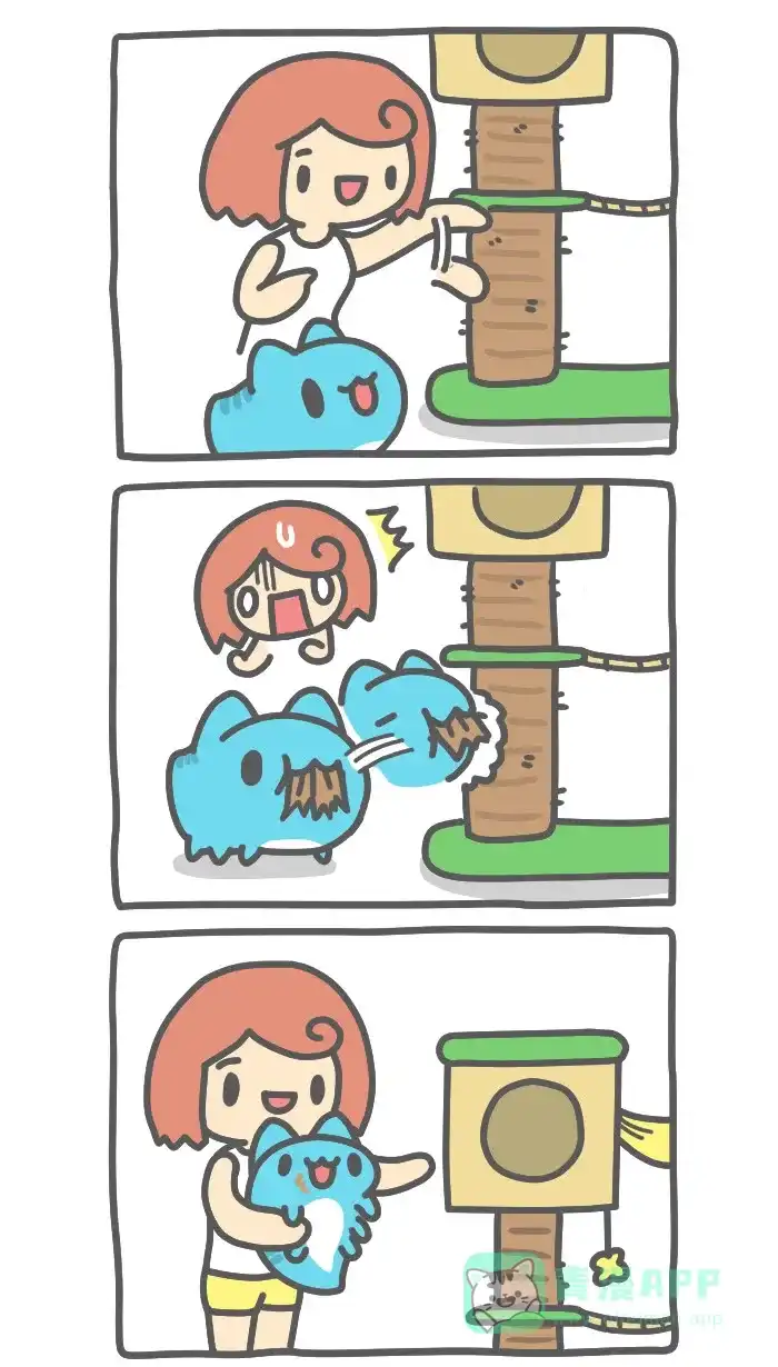猫猫虫咖波 [第437话] 玩具猫屋 第2页