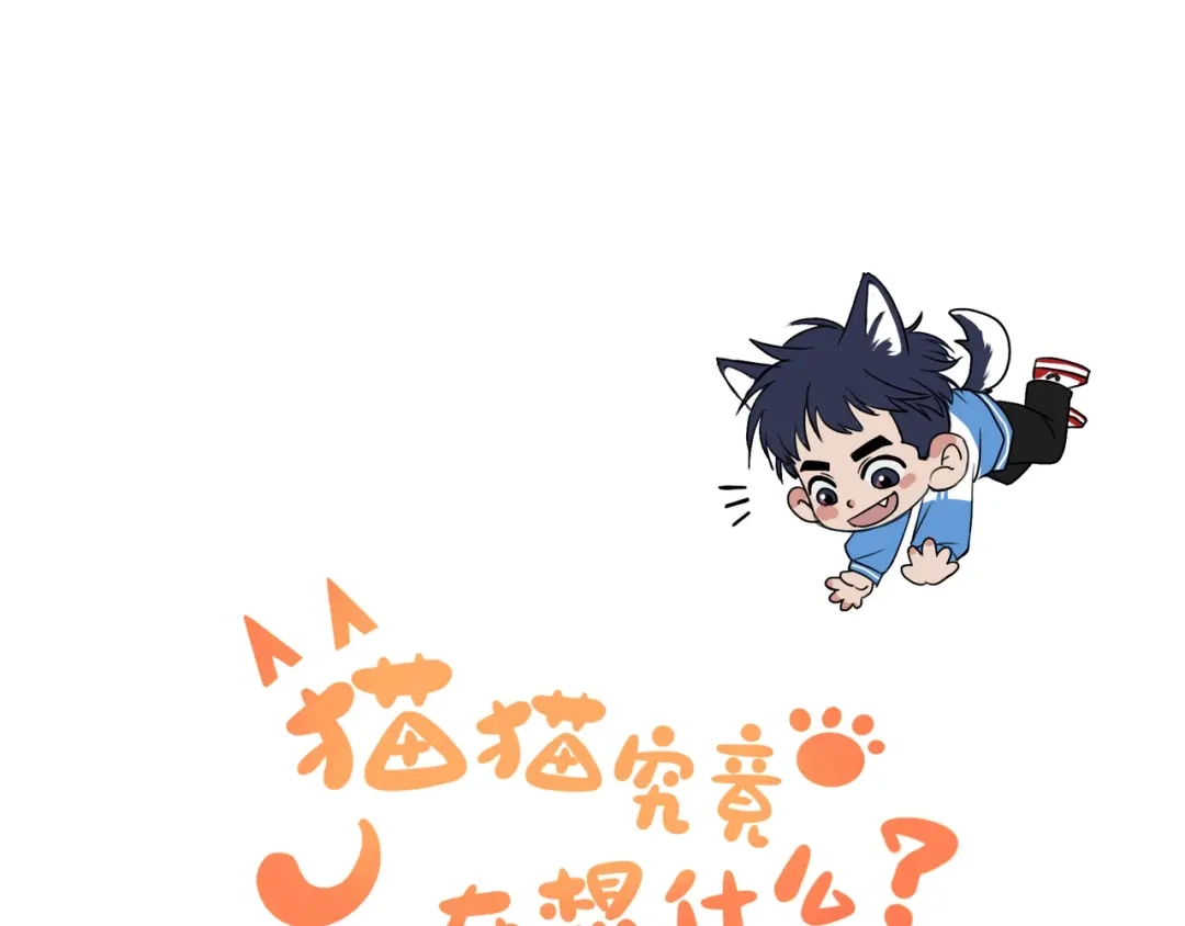 《猫猫究竟在想什么？》人物介绍 狗狗x猫猫 第16页
