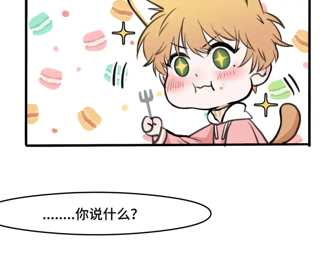 《猫猫究竟在想什么？》第7话 猫猫居然闯祸了！？ 第39页
