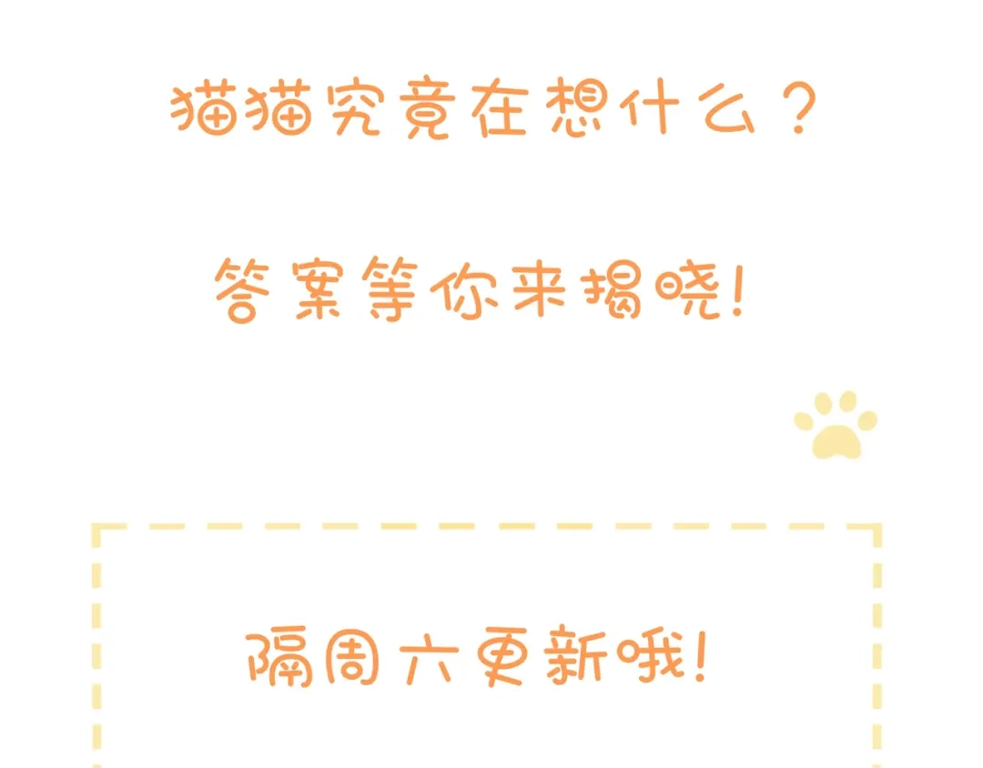 《猫猫究竟在想什么？》第7话 猫猫居然闯祸了！？ 第147页