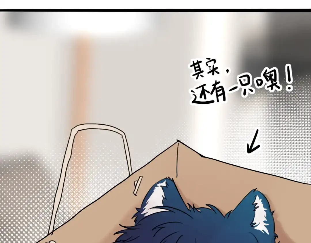 《猫猫究竟在想什么？》小剧场番外 猫猫玩偶 第37页
