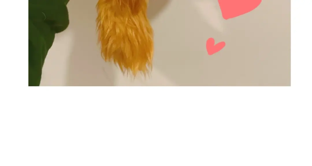 《猫猫究竟在想什么？》小剧场番外 猫猫玩偶 第46页