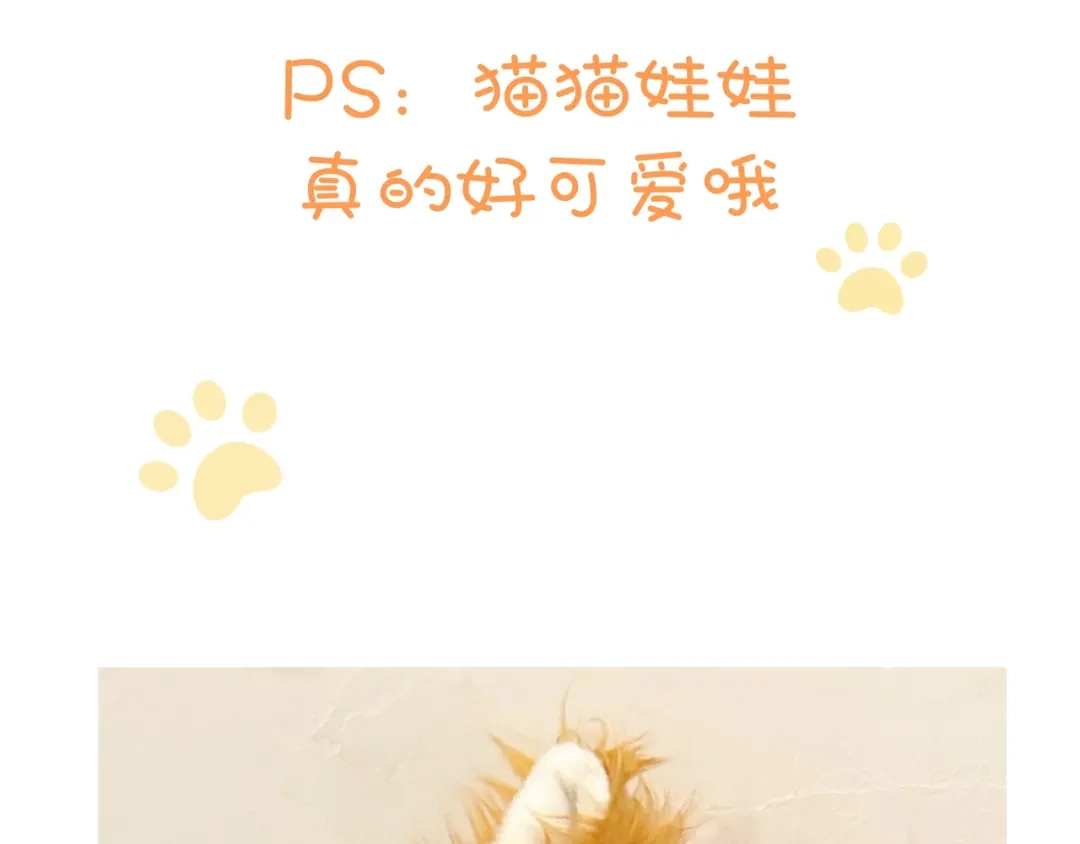 《猫猫究竟在想什么？》小剧场番外 猫猫玩偶 第44页