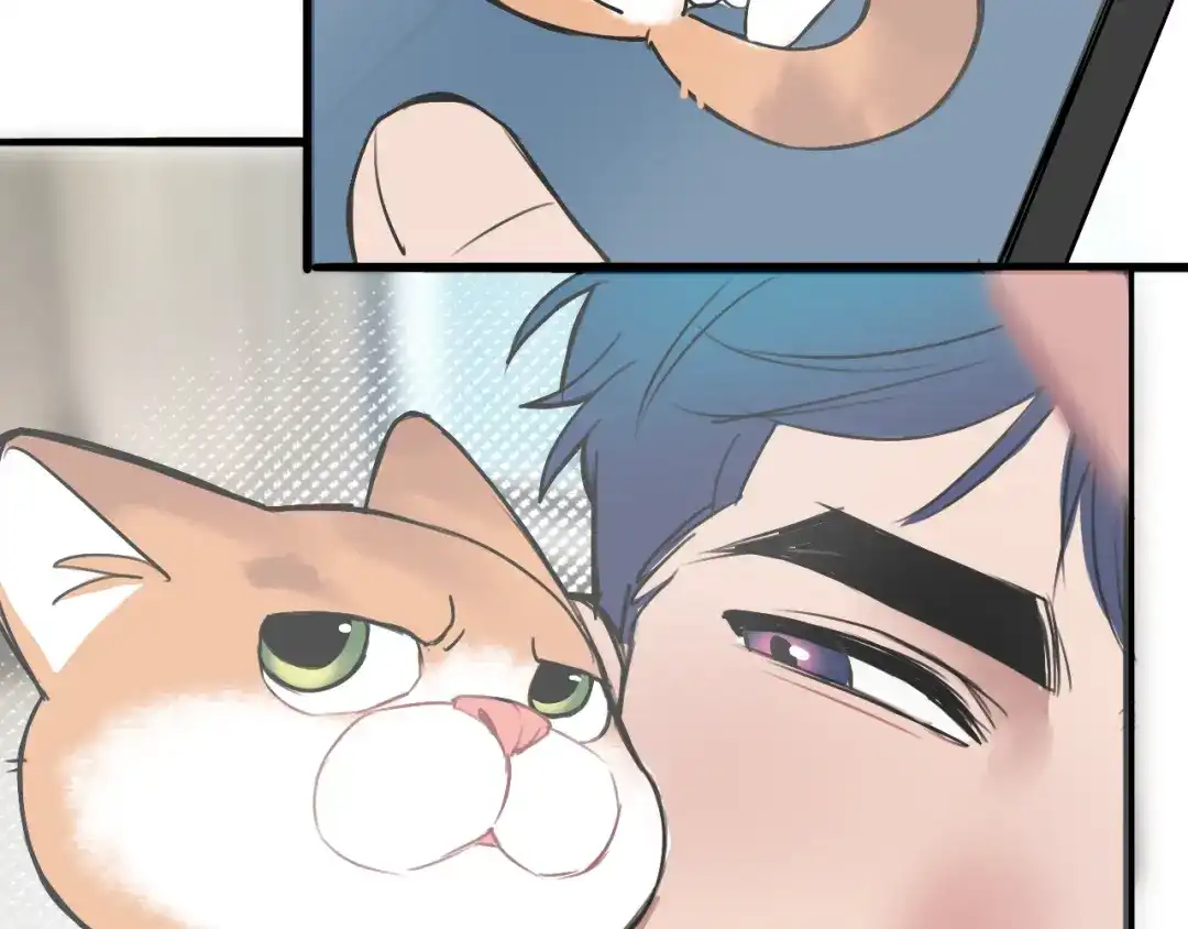 《猫猫究竟在想什么？》第10话 想去我家看猫猫吗？ 第88页