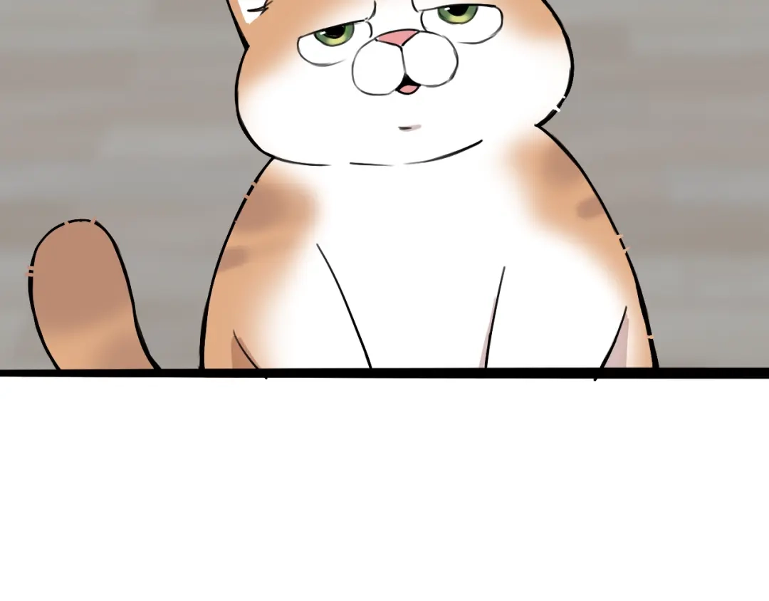 《猫猫究竟在想什么？》第11话 猫猫和猫猫？ 第19页