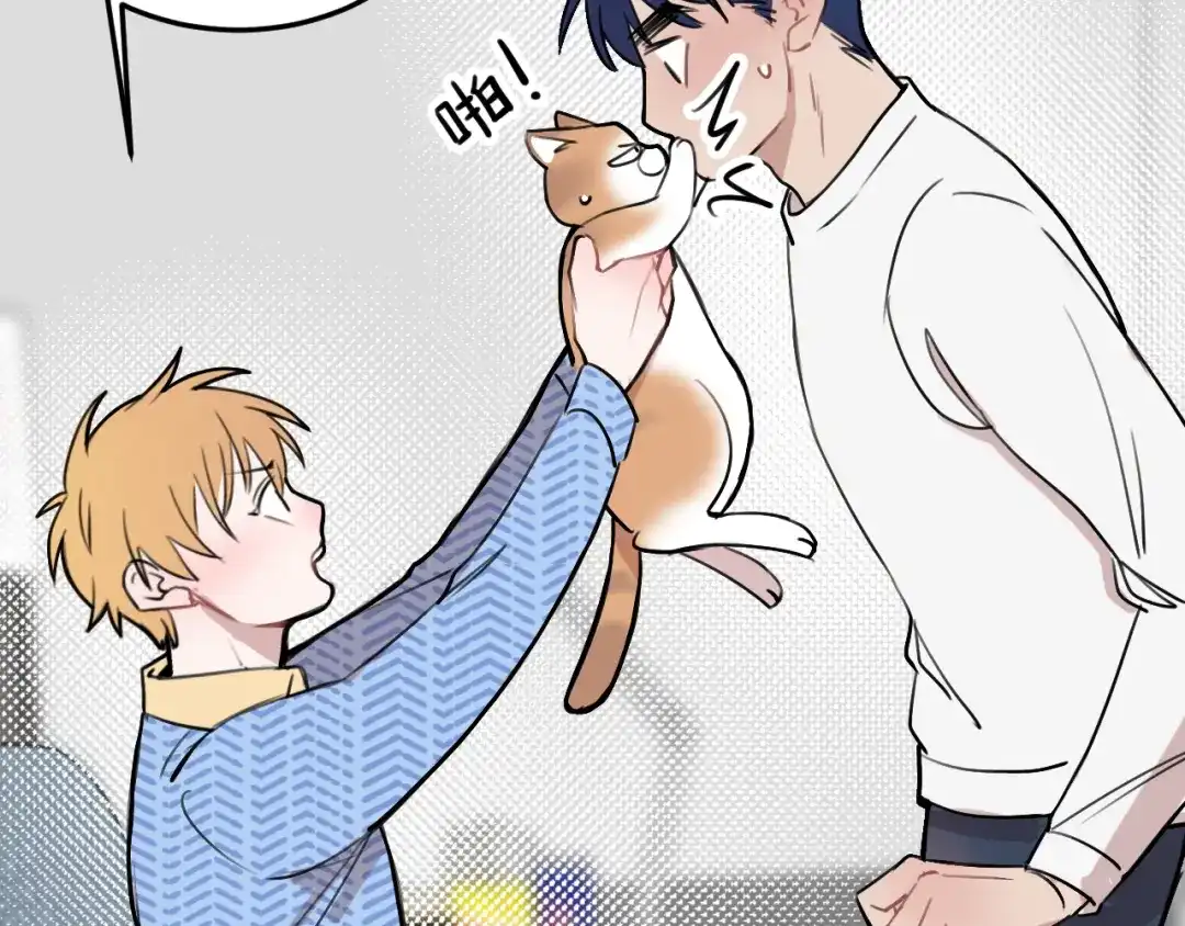 《猫猫究竟在想什么？》第11话 猫猫和猫猫？ 第119页