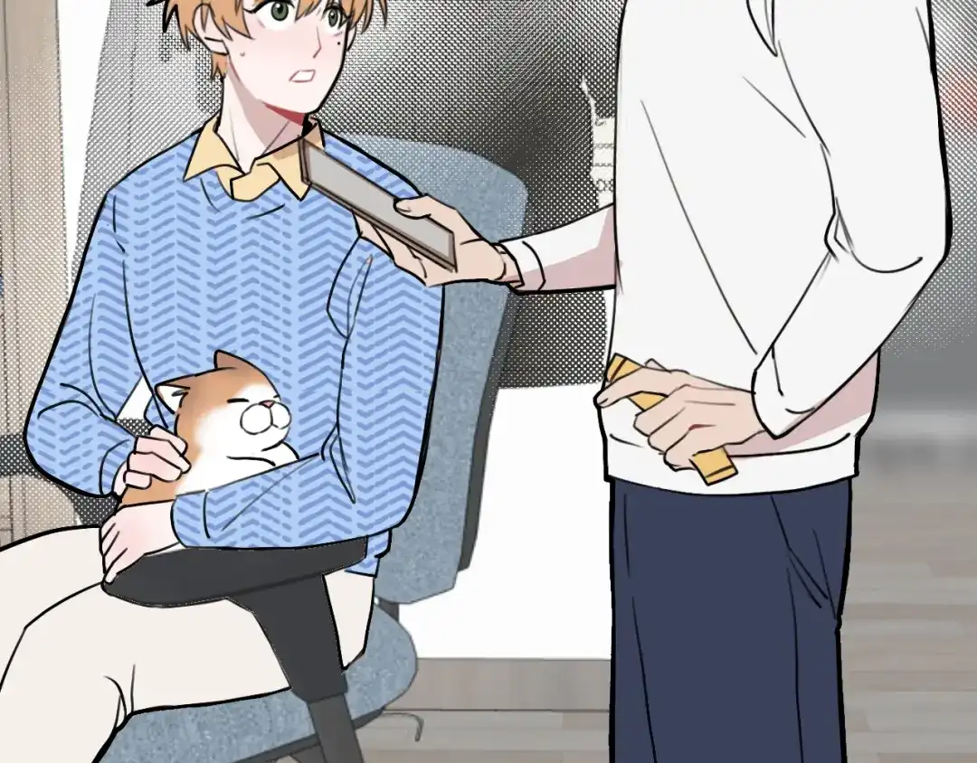 《猫猫究竟在想什么？》第11话 猫猫和猫猫？ 第84页