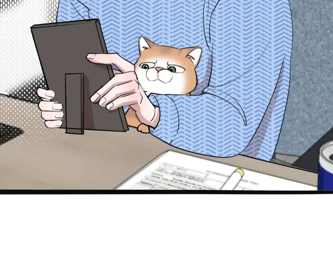 《猫猫究竟在想什么？》第11话 猫猫和猫猫？ 第54页