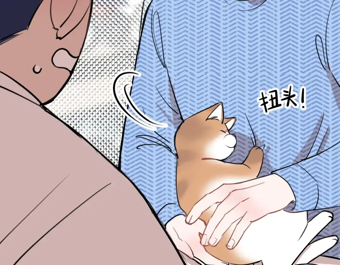 《猫猫究竟在想什么？》第11话 猫猫和猫猫？ 第34页