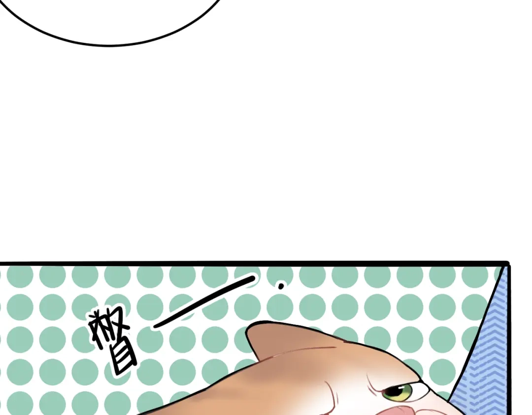 《猫猫究竟在想什么？》第11话 猫猫和猫猫？ 第31页