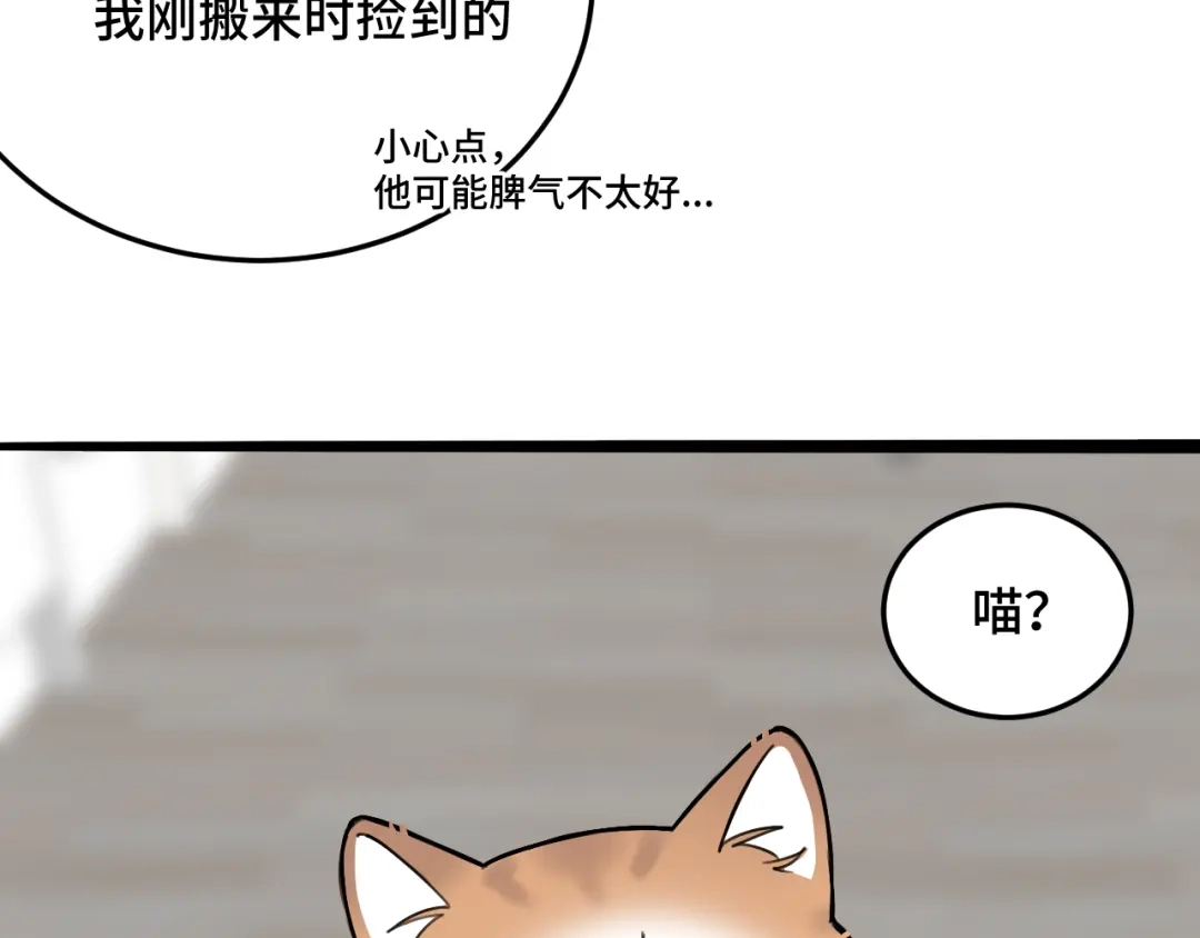 《猫猫究竟在想什么？》第11话 猫猫和猫猫？ 第18页