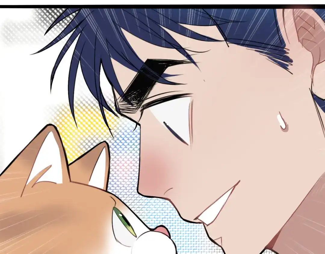 《猫猫究竟在想什么？》第11话 猫猫和猫猫？ 第113页