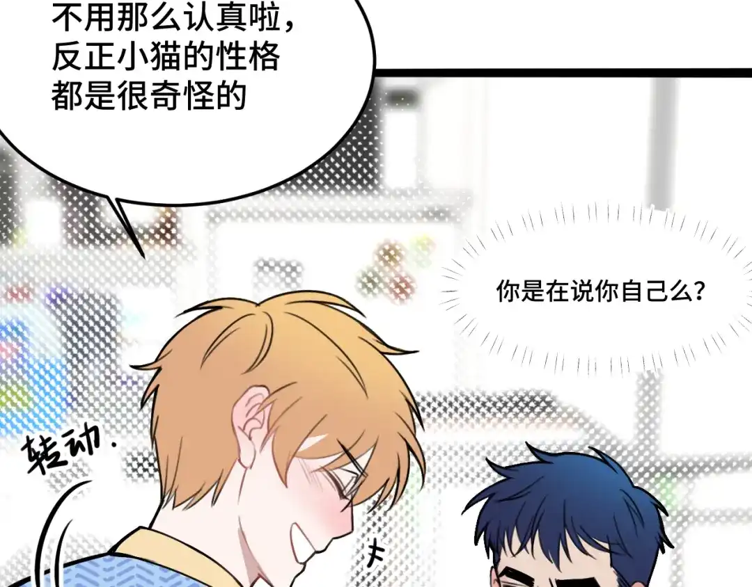 《猫猫究竟在想什么？》第11话 猫猫和猫猫？ 第36页
