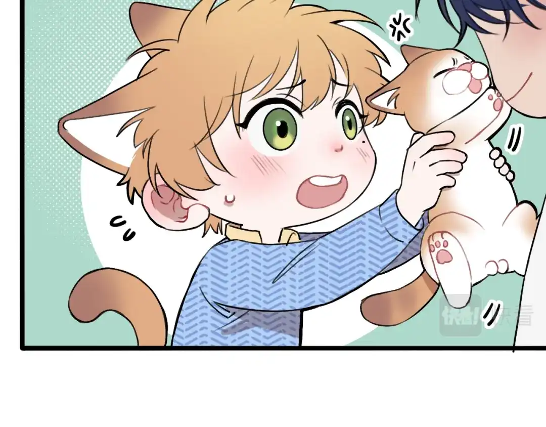 《猫猫究竟在想什么？》第12话 猫猫摔倒了！！ 第7页