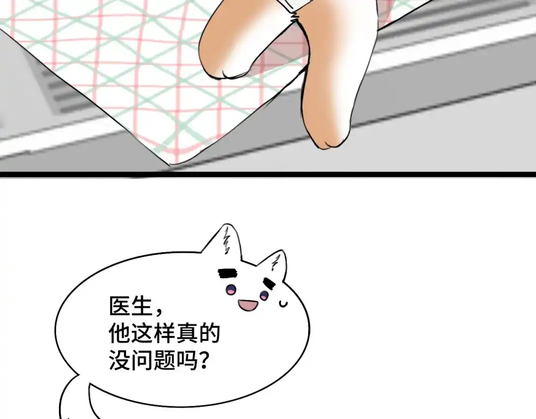 《猫猫究竟在想什么？》第14话 猫猫失去了一些东西 第64页