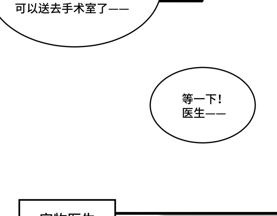 《猫猫究竟在想什么？》第14话 猫猫失去了一些东西 第43页