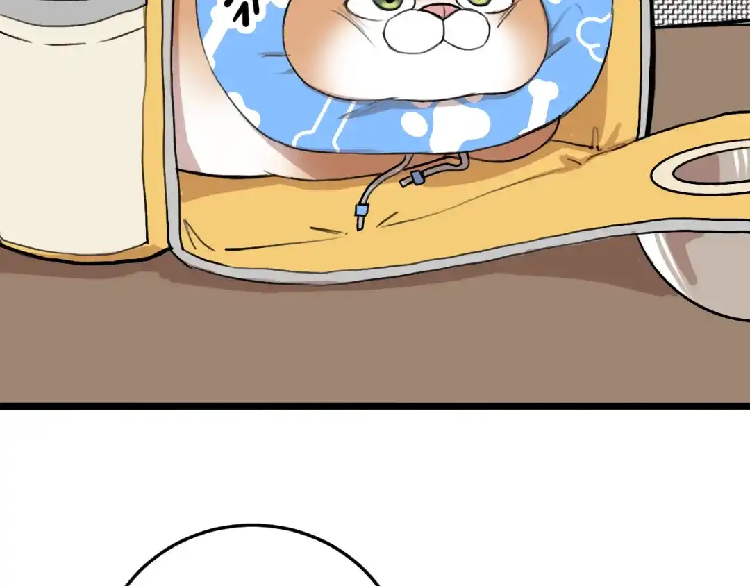 《猫猫究竟在想什么？》第14话 猫猫失去了一些东西 第85页