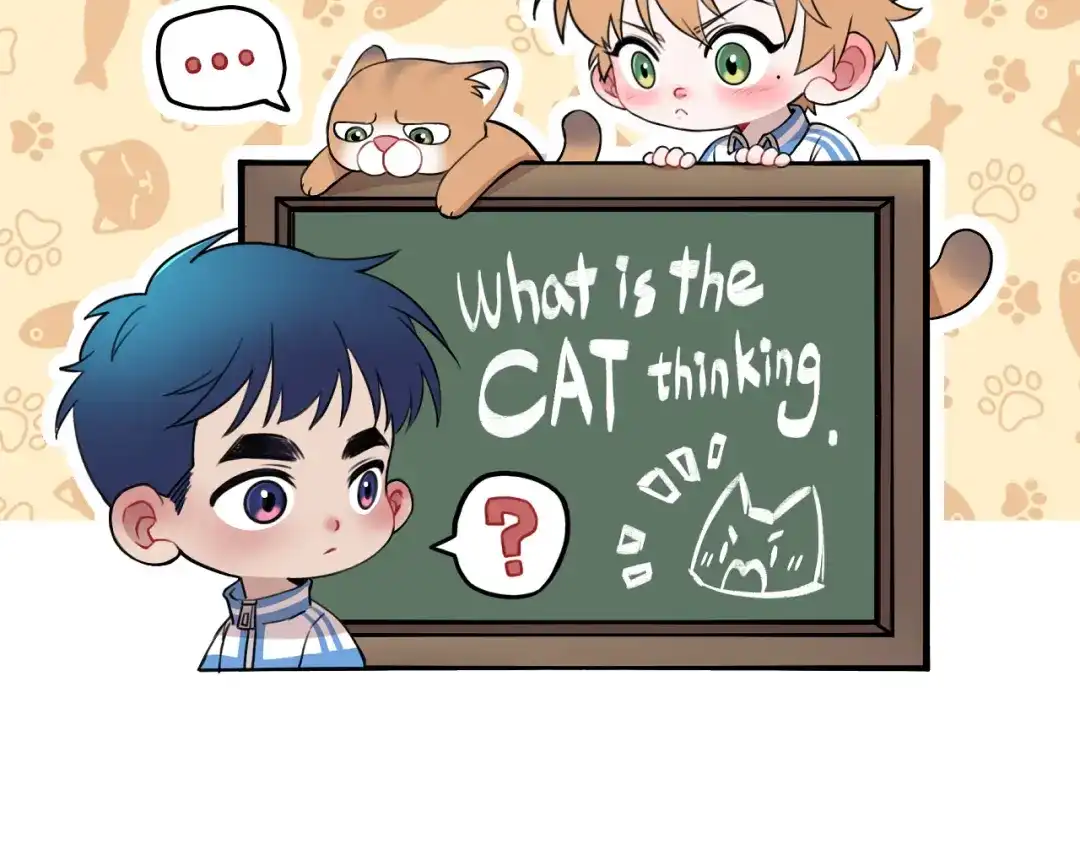 《猫猫究竟在想什么？》第14话 猫猫失去了一些东西 第2页