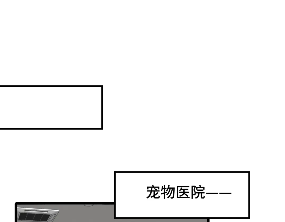 《猫猫究竟在想什么？》第14话 猫猫失去了一些东西 第41页