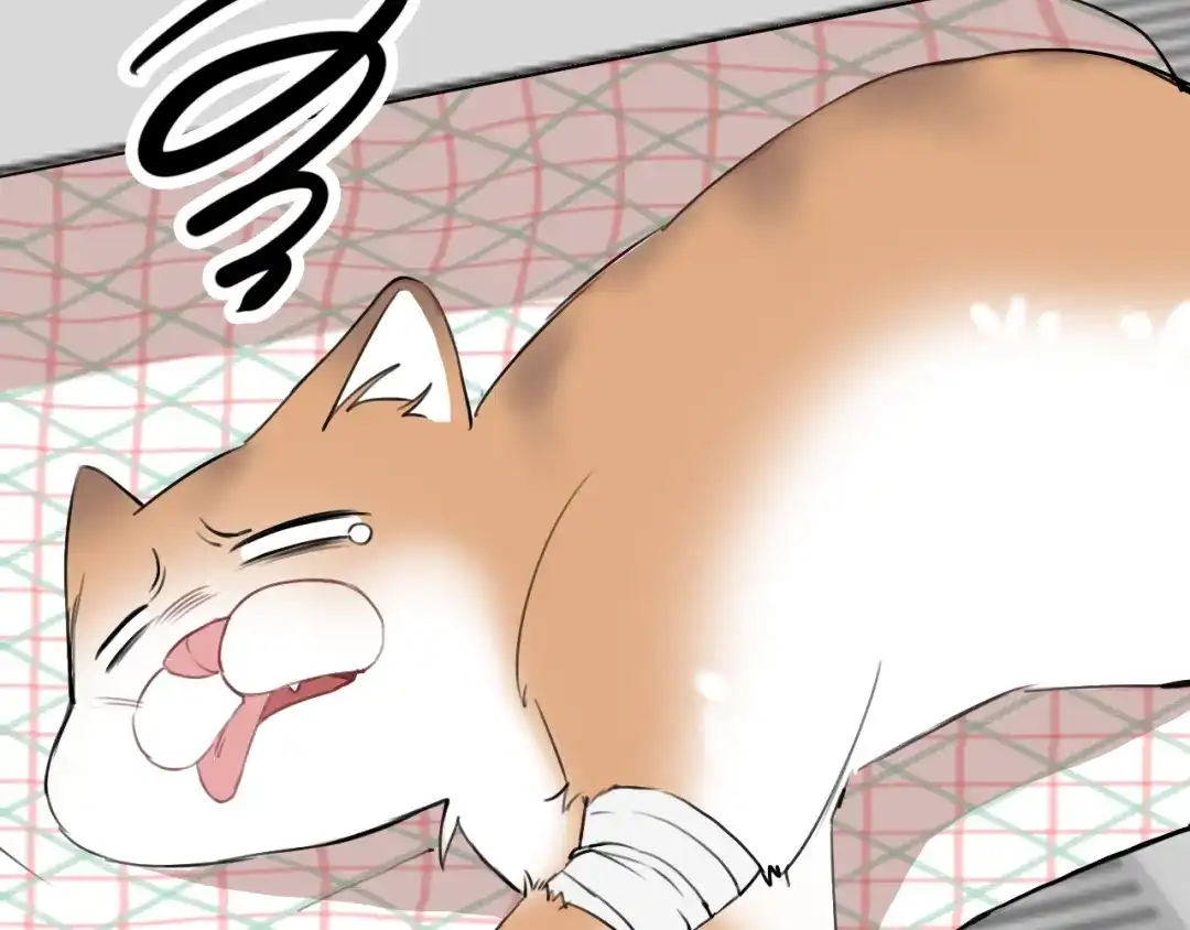《猫猫究竟在想什么？》第14话 猫猫失去了一些东西 第63页